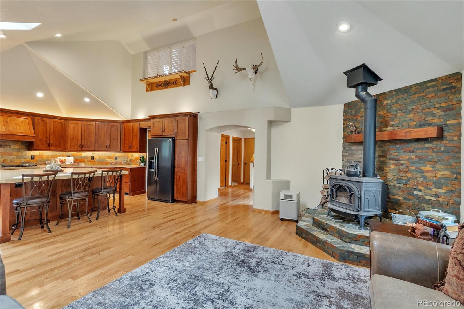 9590 South Warhawk Road Conifer, CO 80433 - Photo 5 of 43 a living room with furniture and a fireplace