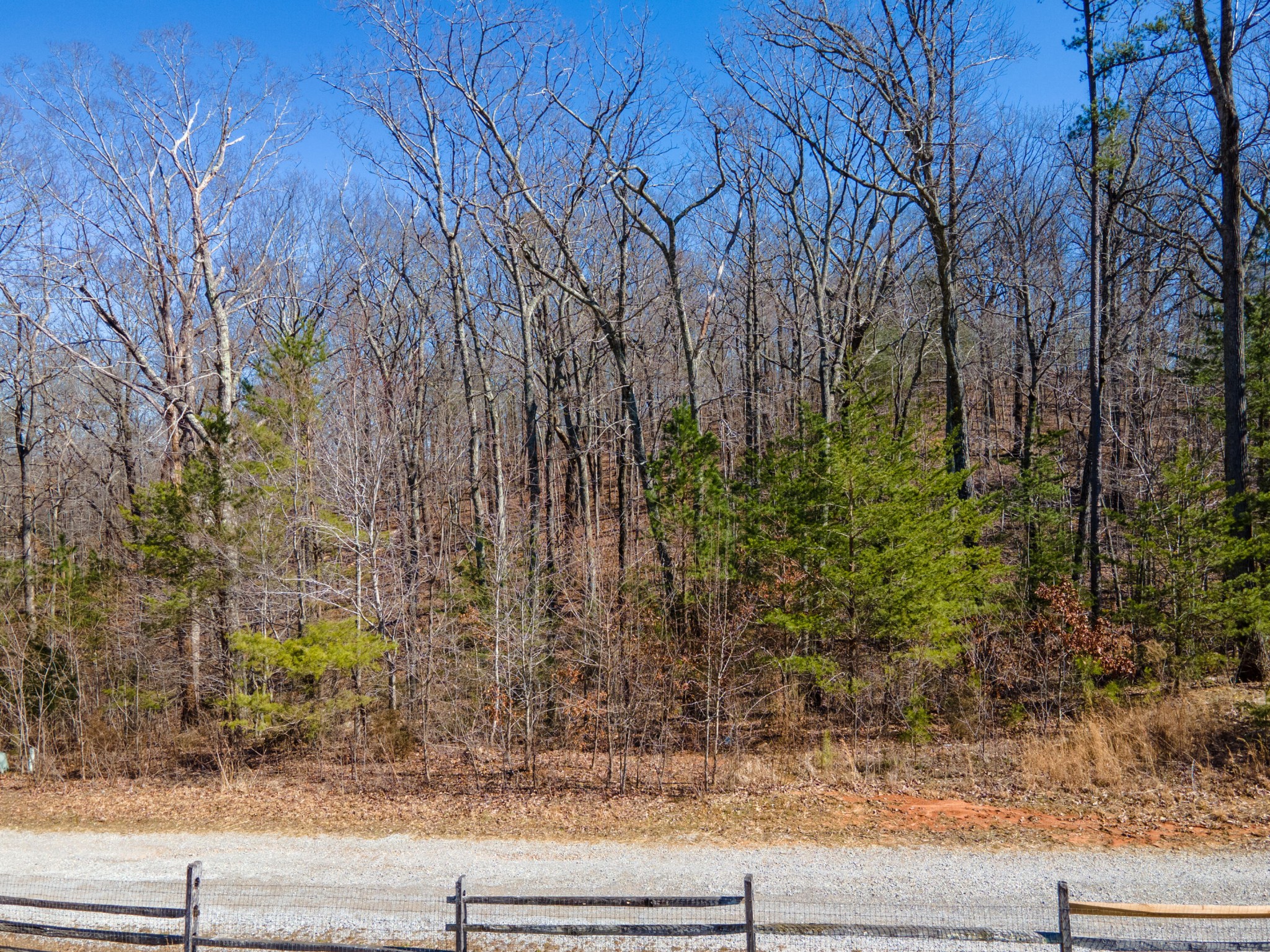 0 Valley Rim Drive Chickamauga, GA 30707 - Photo 4 of 9 a view of a yard and tree s