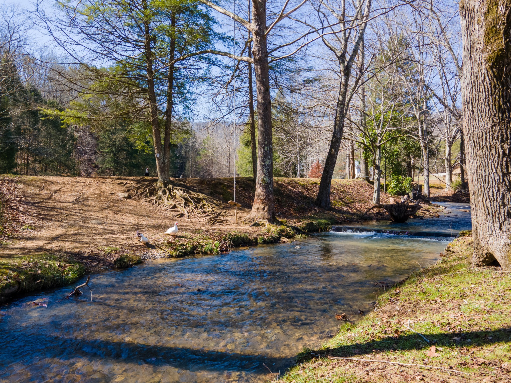 0 Valley Rim Drive Chickamauga, GA 30707 - Photo 6 of 9 a view of a yard with a fountain