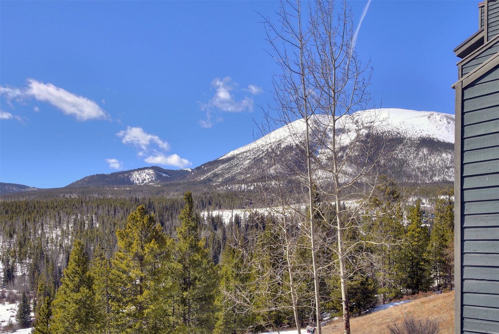 9460 Ryan Gulch Road, Unit 9460 Silverthorne, CO 80498 - Photo 31 of 39 a view of a yard of a house with a mountain
