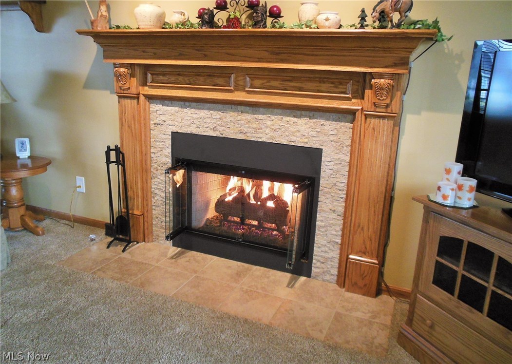 121 Matthew Drive Rittman, OH 44270 - Photo 4 of 22 Gallery Image 4