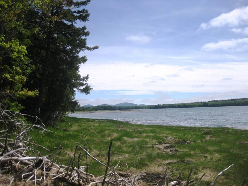 0 Racoon Cove Road Lamoine, ME 04605 - Photo 4 of 5 Photo