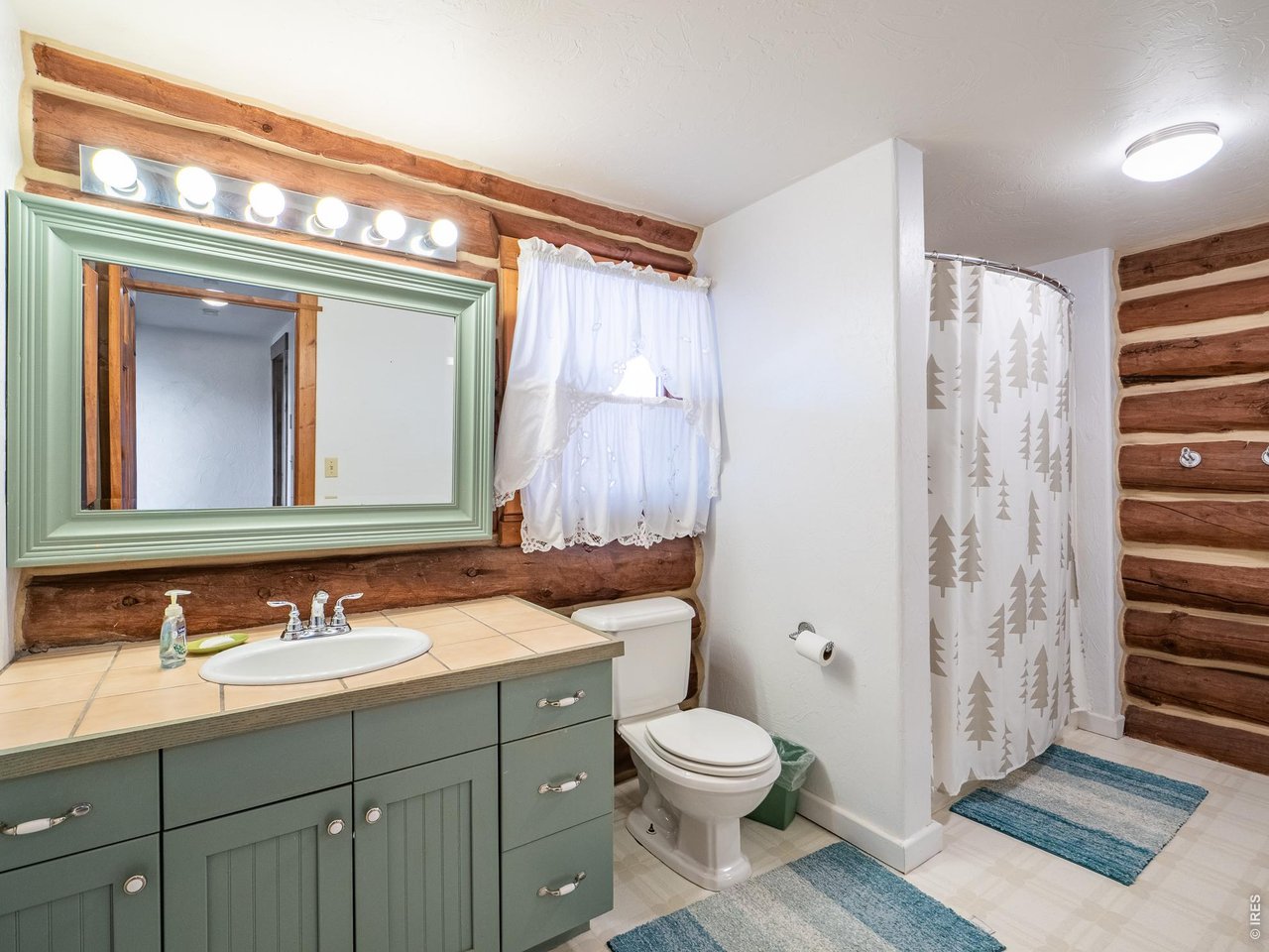 296 Caddo Road Red Feather Lakes, CO 80545 - Photo 15 of 50 Main floor full bathroom.