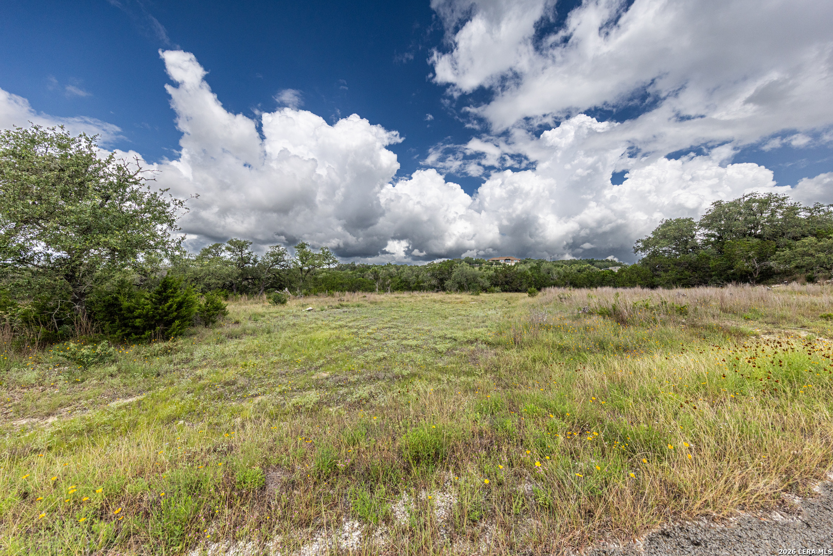 563 Abodar Trail Spring Branch, TX 78070 - Photo 4 of 55