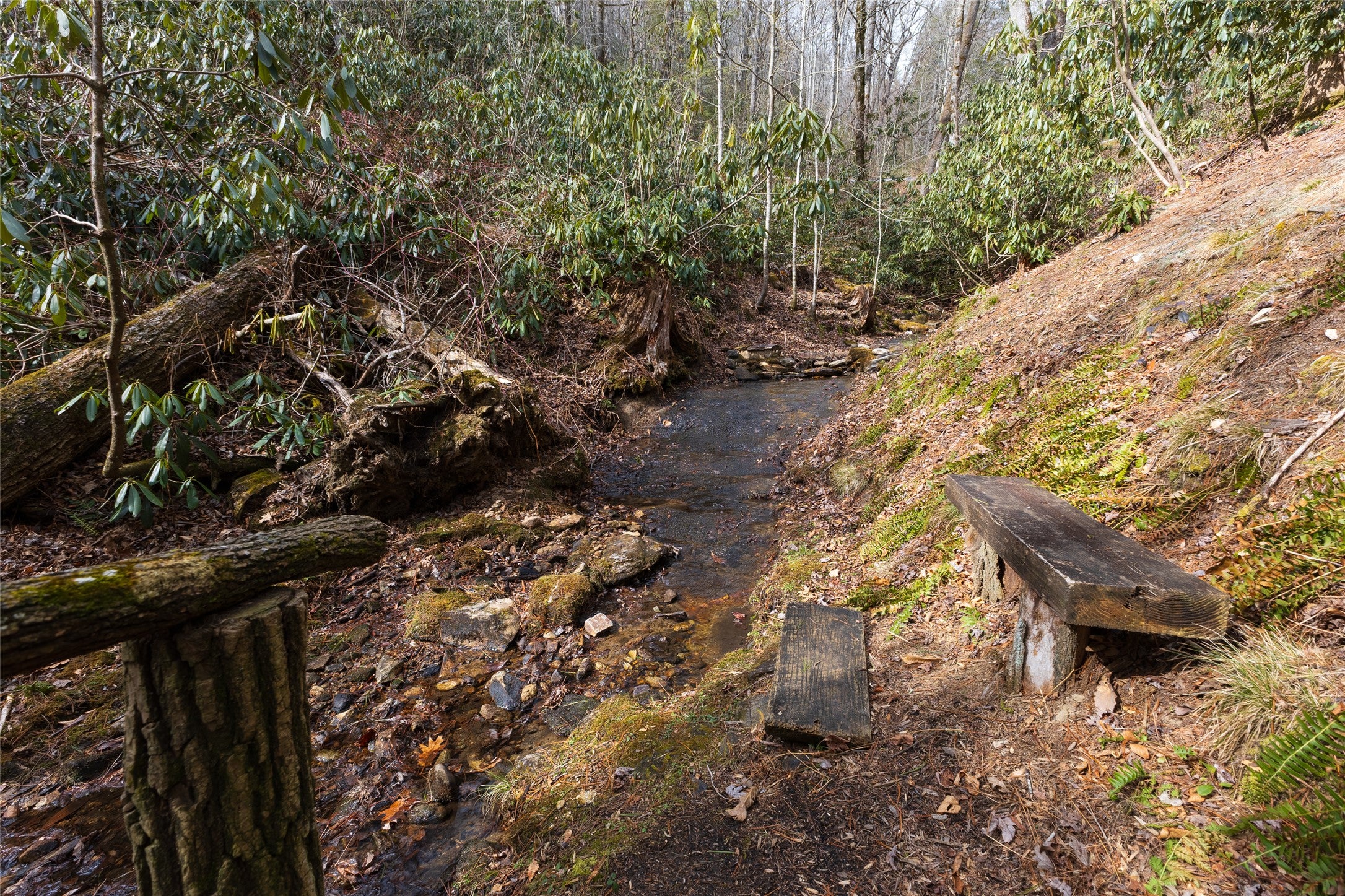 137 Rushing Brook Lane Cashiers, NC 28717 - Photo 32 of 37 Gallery Image 32