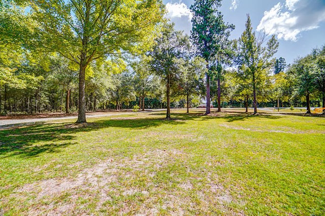 951 B Horseshoe Road Augusta, GA 30906 - Photo 8 of 33