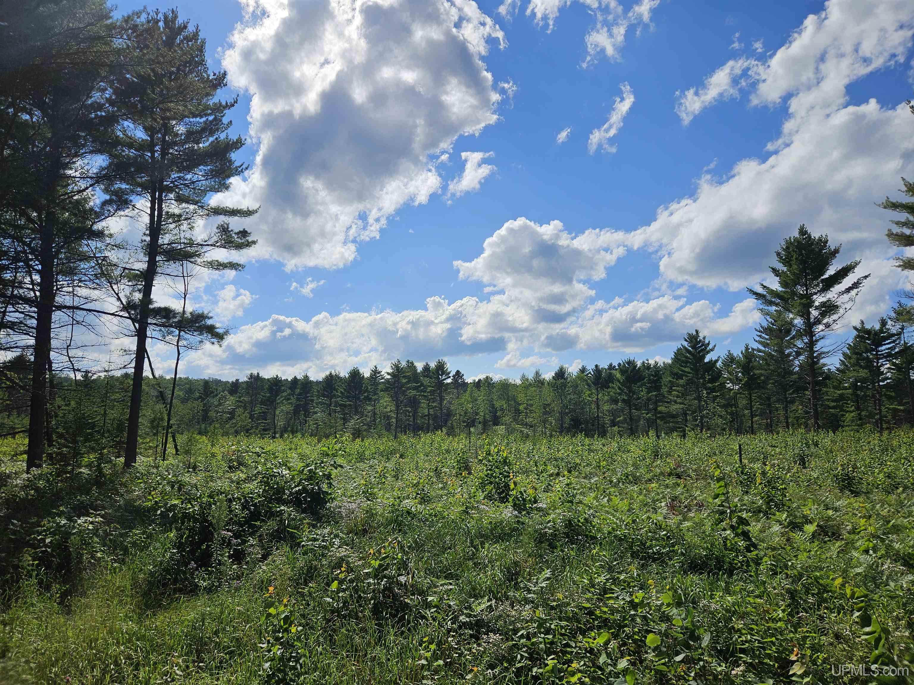 189 Oss Road Crystal Falls, MI 49920 - Photo 50 of 70 Gallery Image 50