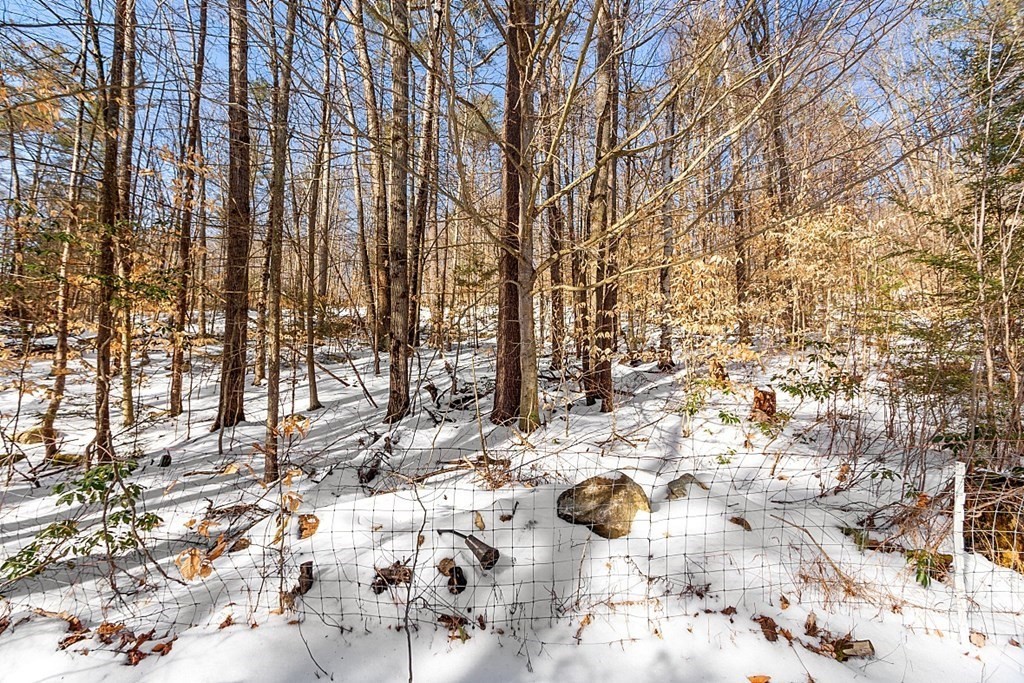 16 Flagg Hill Road Erving, MA 01344 - Photo 10 of 31 Gallery Image 10
