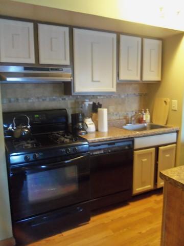 1802 Kenneth Circle, Unit 1802 Elgin, IL 60120 - Photo 3 of 10
