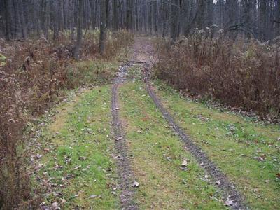 329 Lake Road Norwich, NY 13815 - Photo 11 of 49