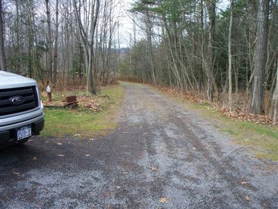 329 Lake Road Norwich, NY 13815 - Photo 4 of 49