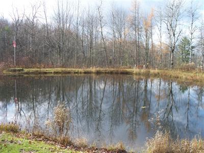 329 Lake Road Norwich, NY 13815 - Photo 49 of 49