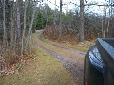 329 Lake Road Norwich, NY 13815 - Photo 5 of 49