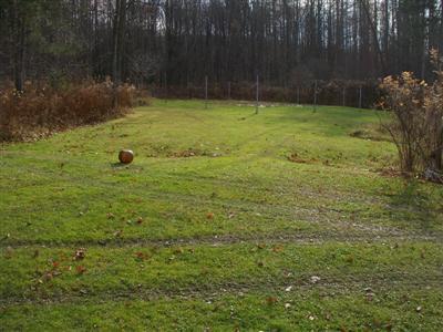 329 Lake Road Norwich, NY 13815 - Photo 8 of 49