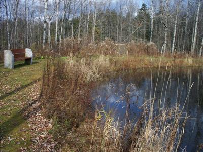 329 Lake Road Norwich, NY 13815 - Photo 10 of 49