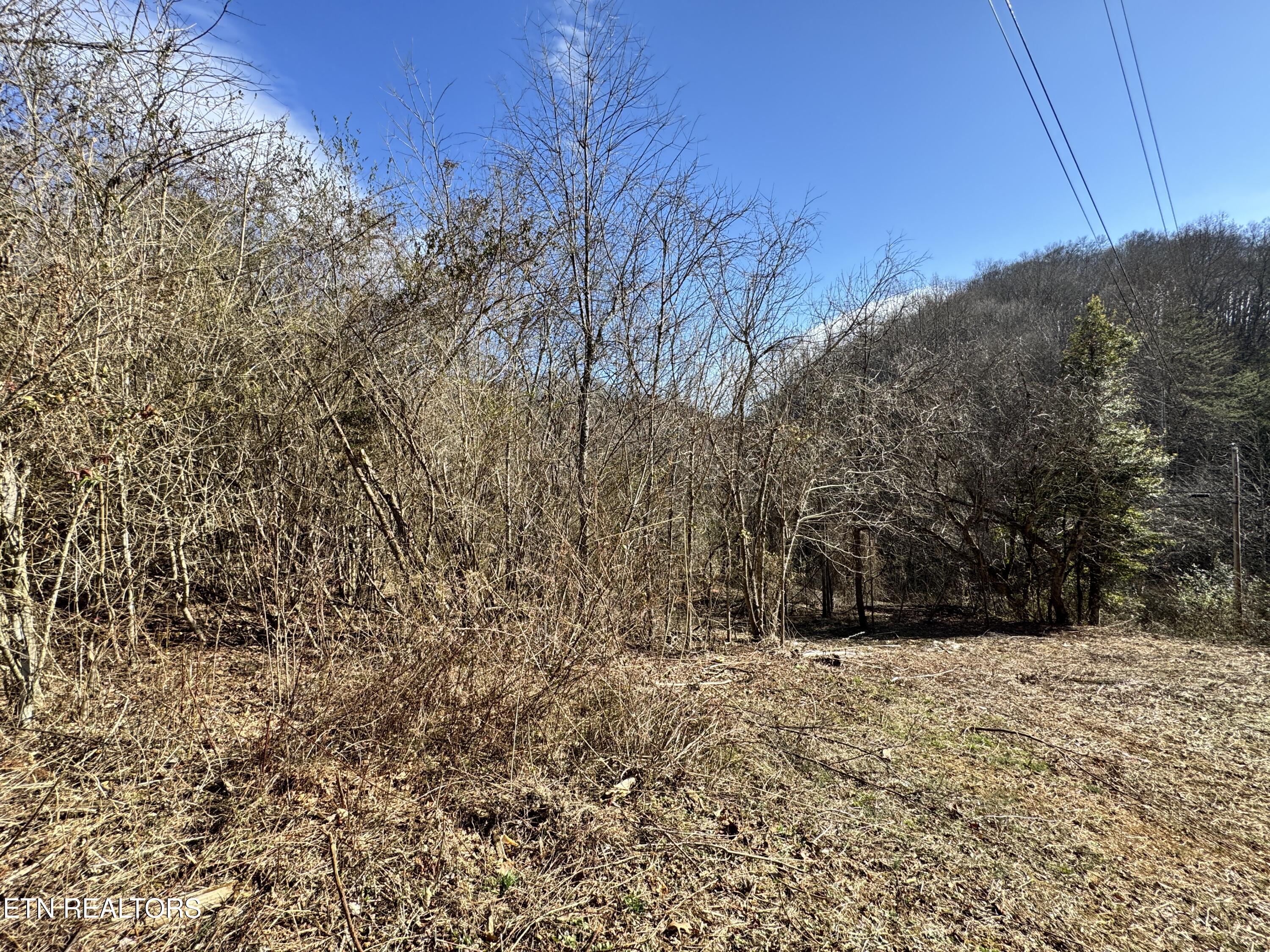 1135 Ned Clark Road Bean Station, TN 37708 - Photo 7 of 31 1135 Ned Clark Rd Bean Station, TN