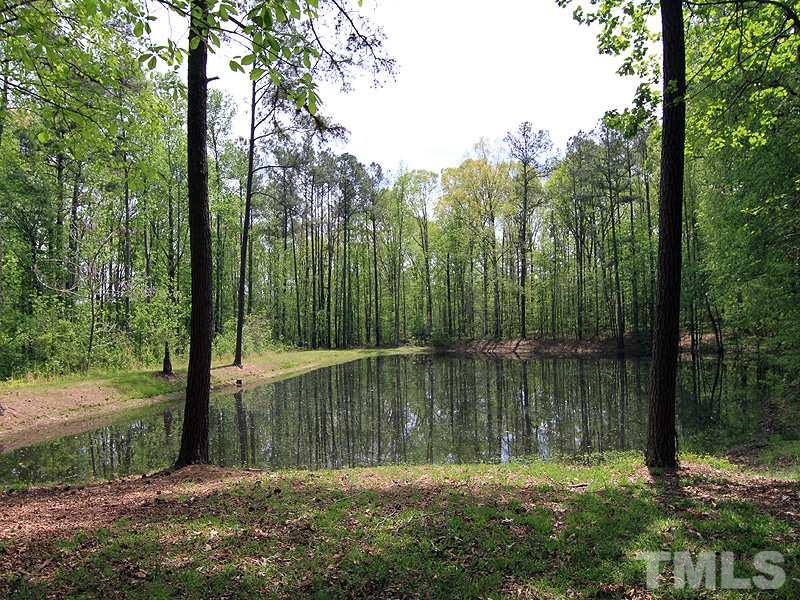 800 Mudham Road Wendell, NC 27591 - Photo 20 of 25 Lots of fish in here!
