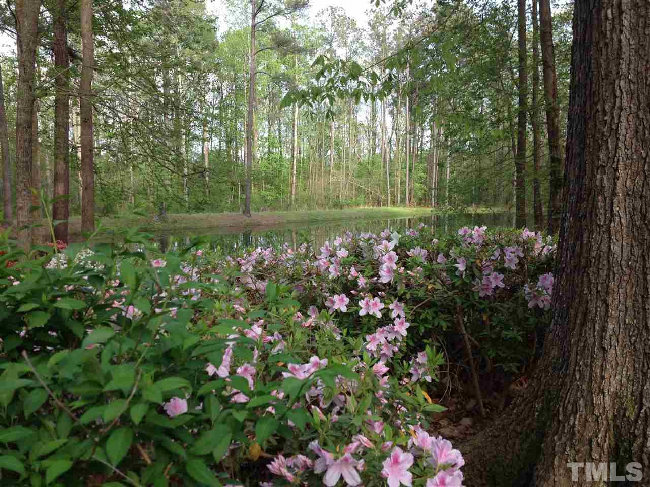 800 Mudham Road Wendell, NC 27591 - Photo 24 of 25 Gallery Image 24