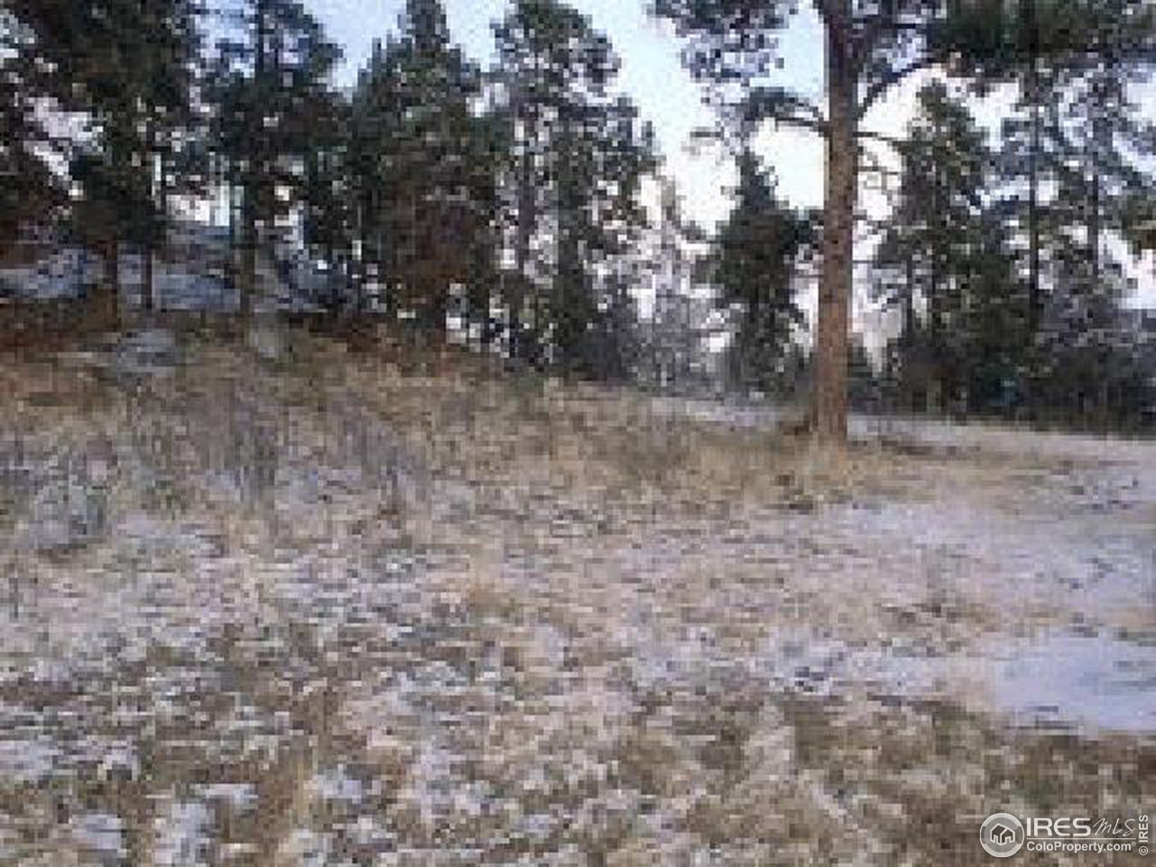 0 South Spring Gulch Road Idaho Springs, CO 80452 - Photo 2 of 4 Gallery Image 2