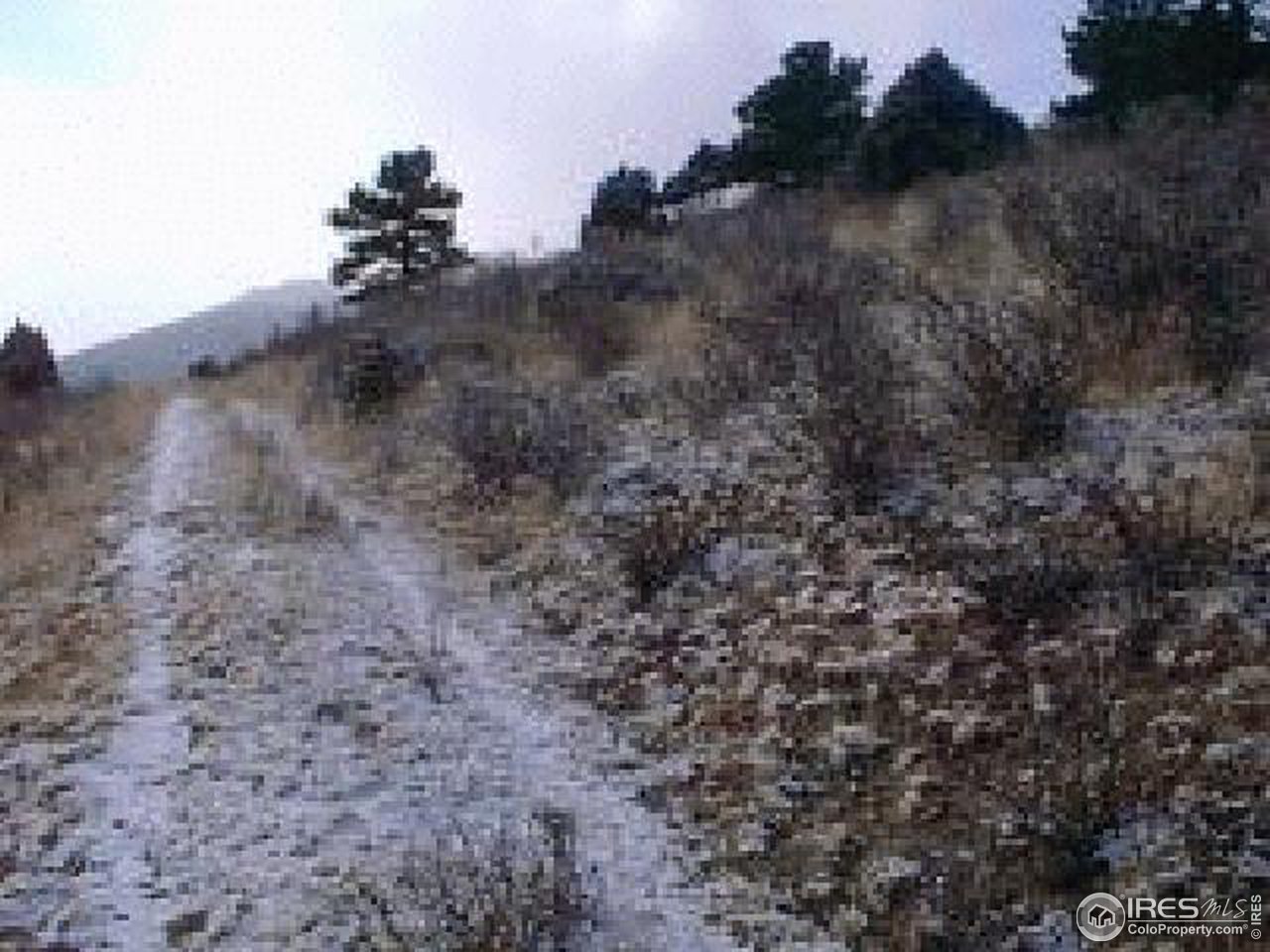 0 South Spring Gulch Road Idaho Springs, CO 80452 - Photo 3 of 4 Gallery Image 3