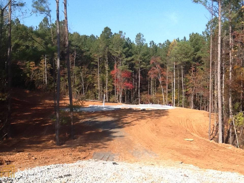 0 Drews Ridge Drive, Unit 19 Newnan, GA 30263 - Photo 1 of 1 Gallery Image 1