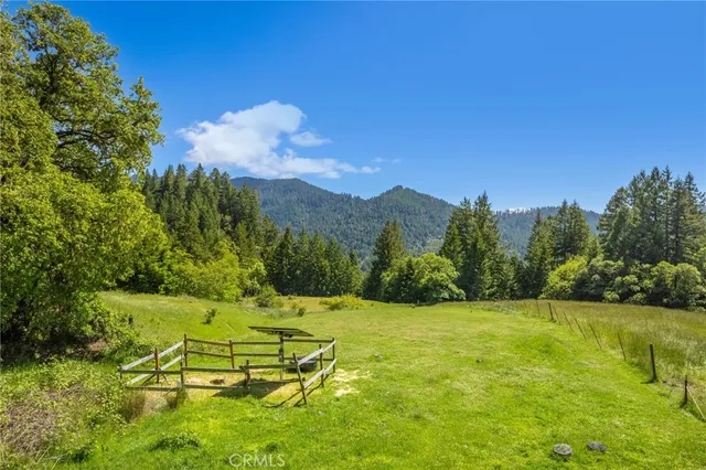 a view of a back yard of the house
