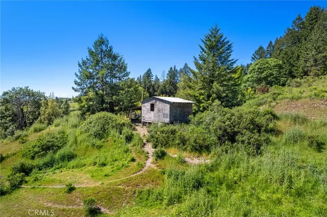 a view of a field with trees in the background