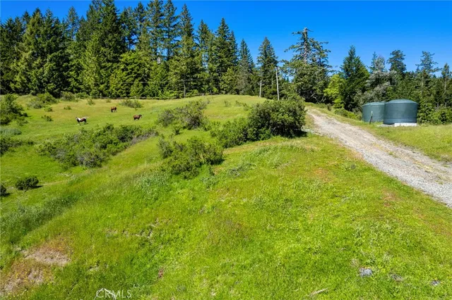 a view of a field of grass and trees