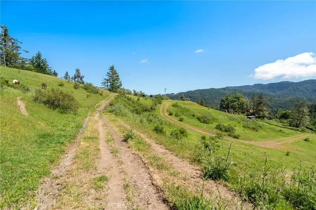 a patio with table and chairs and potted plants