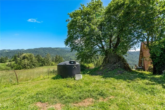 a bathroom with a shower curtain and a window