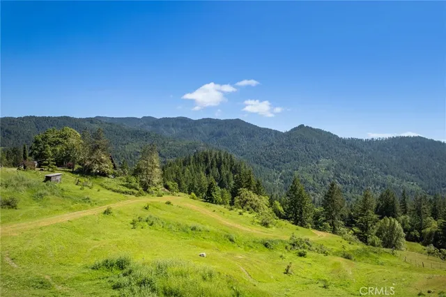 a view of yard with trees in the background
