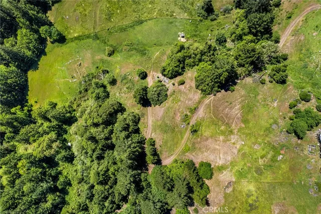 a view of a garden with a building in the background