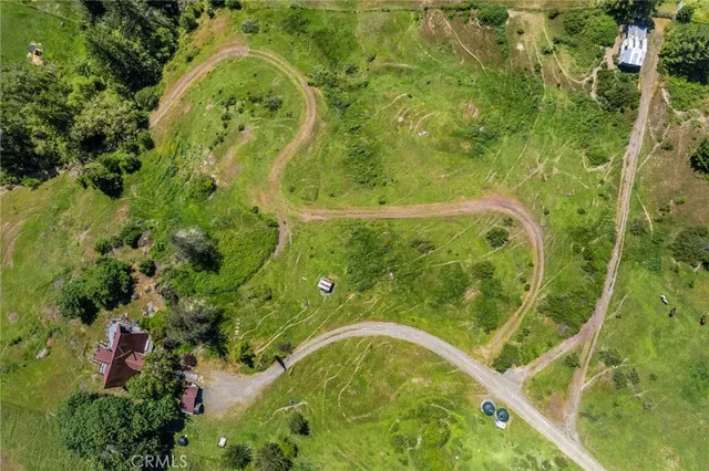 a view of a yard with plants