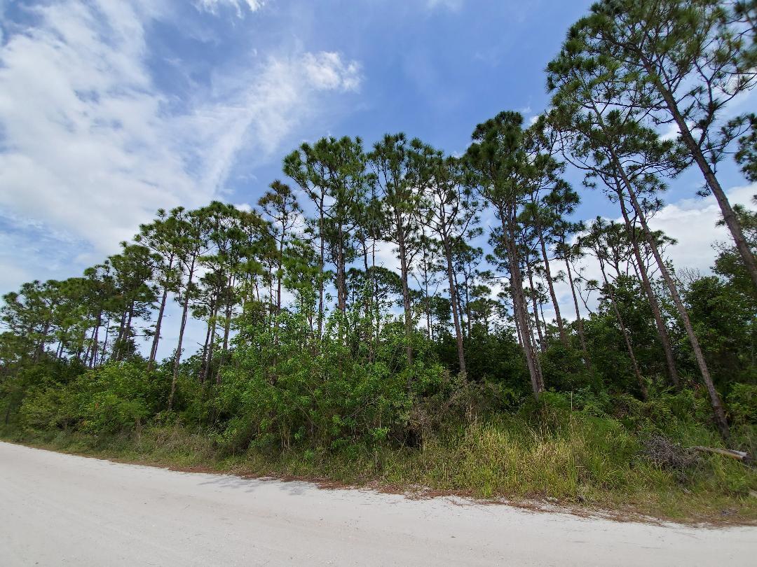 Tbd Southwind Trail Fort Pierce, FL 34951 - Photo 19 of 25 Hollnagel property