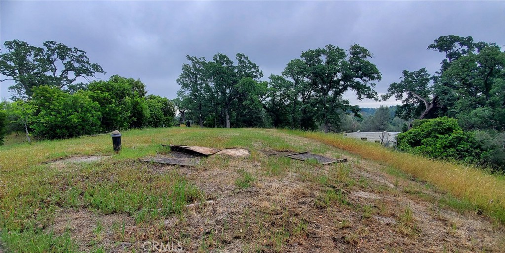 7335 Bluebird Road Corning, CA 96021 - Photo 4 of 9
