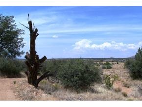 6851 Dillon Wash Road Prescott, AZ 86305 - Photo 8 of 10 a picture of a yard