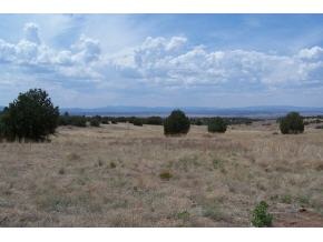 6851 Dillon Wash Road Prescott, AZ 86305 - Photo 10 of 10 a view of a dry yard with trees