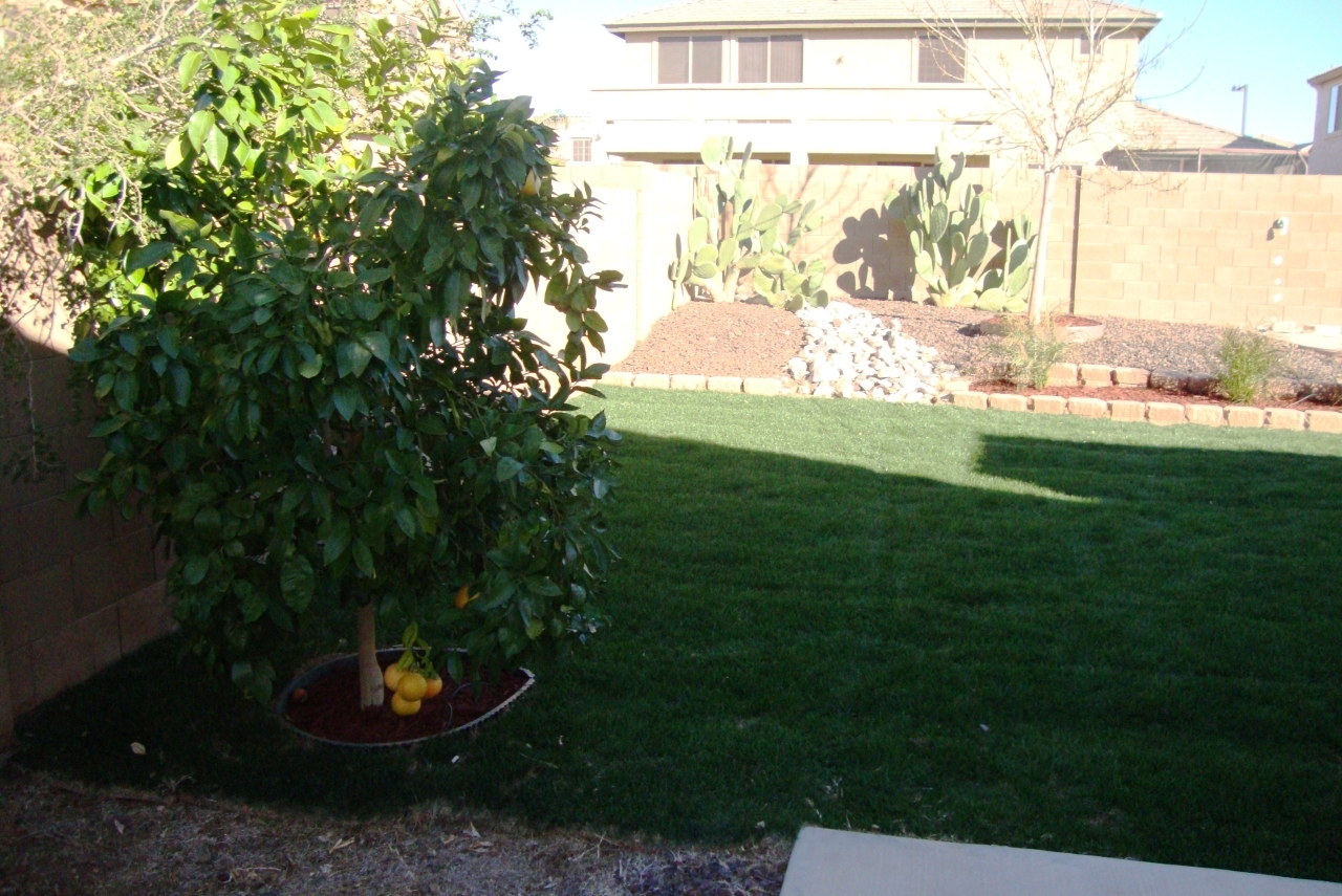15256 West Redfield Road Surprise, AZ 85379 - Photo 24 of 27 24