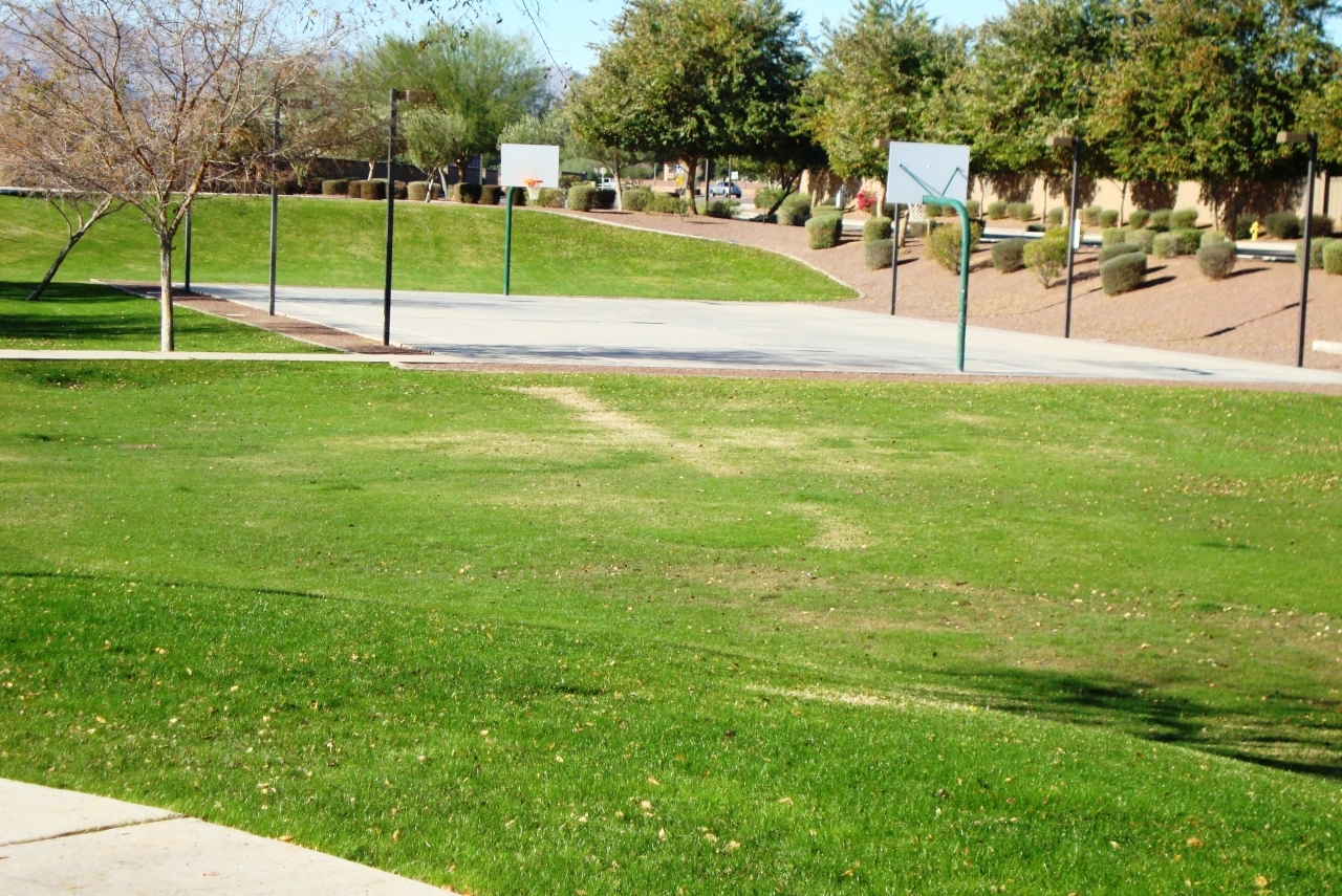 15256 West Redfield Road Surprise, AZ 85379 - Photo 27 of 27 27