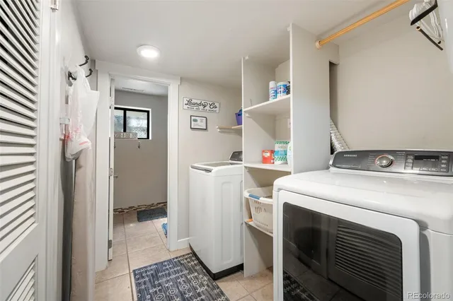 a view of a yard with plants and large trees