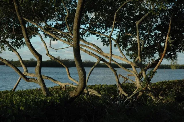 a view of an outdoor space with seating area
