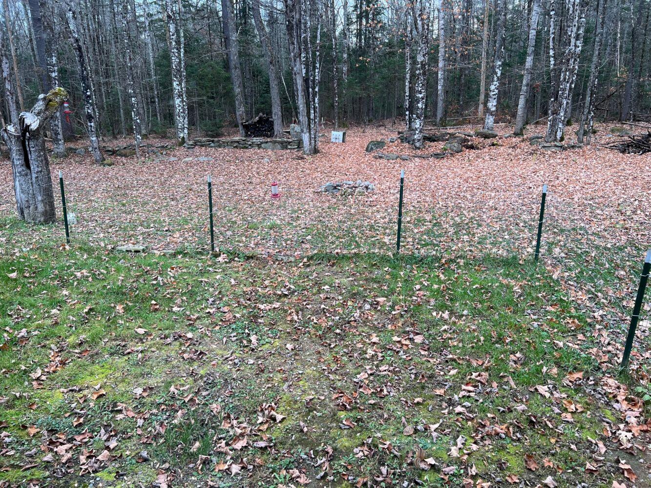10 Harmony Road Wellington, ME 04942 - Photo 22 of 23 IMG_4813