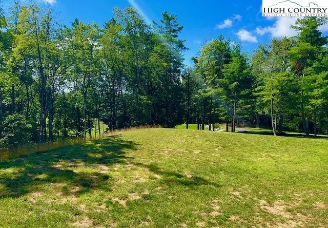a yard with trees in the background