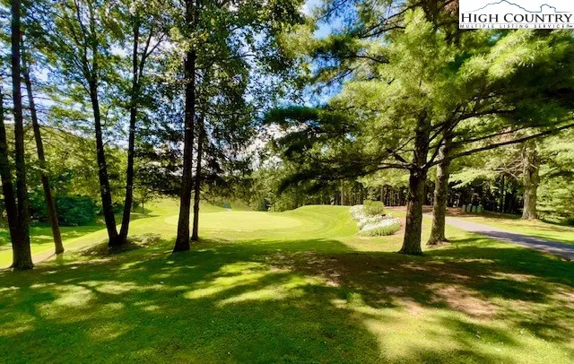 a view of swimming pool with a yard