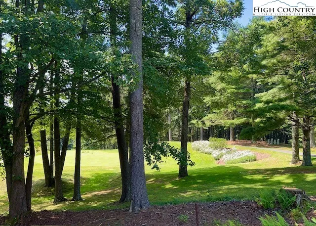 a view of swimming pool from a garden