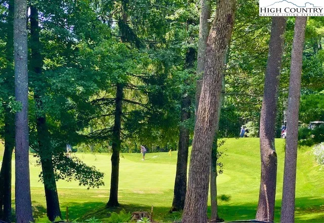 a view of a yard with large trees