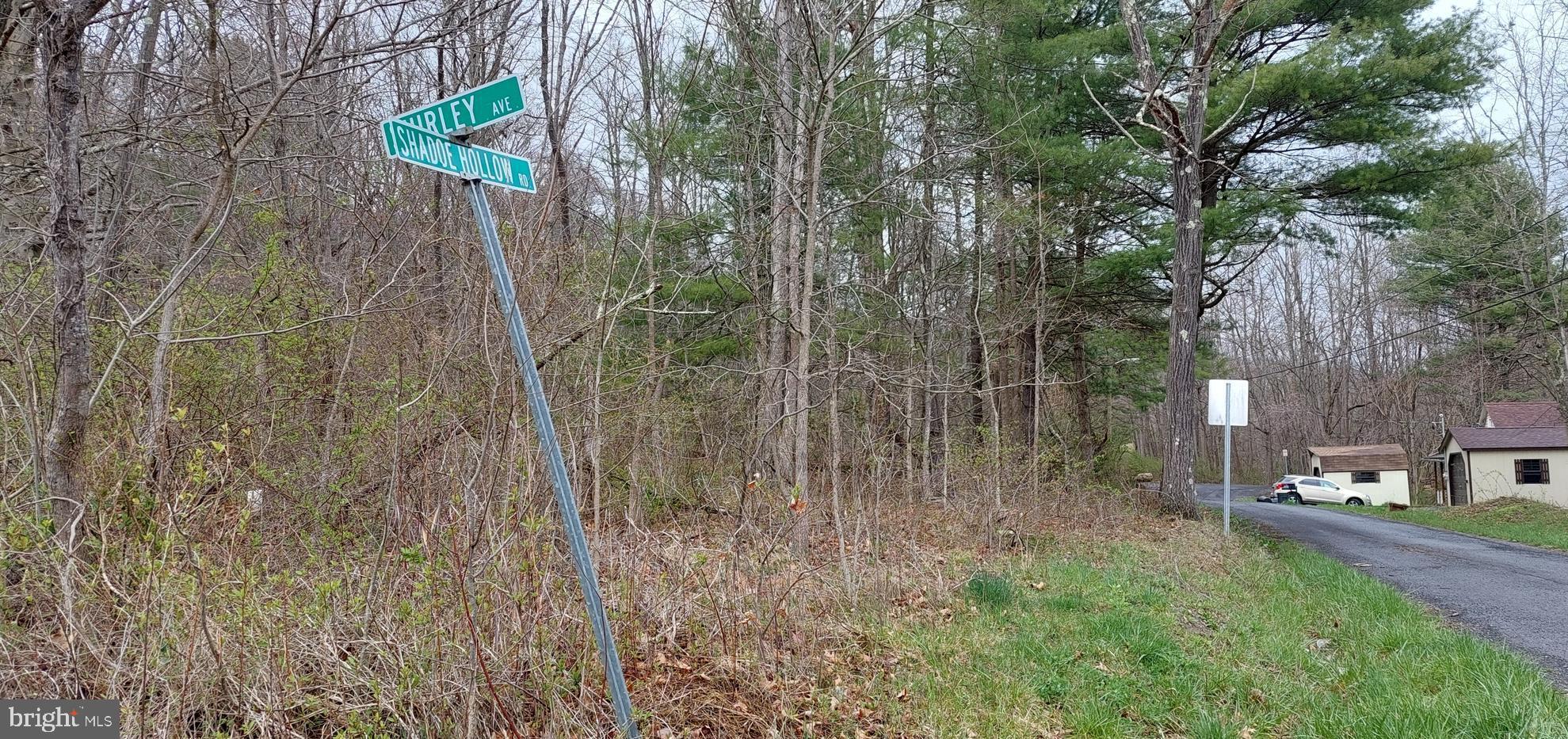 Shadoe Hollow Rd Ne Shadoe Hollow Road Cumberland, MD 21502 - Photo 11 of 11