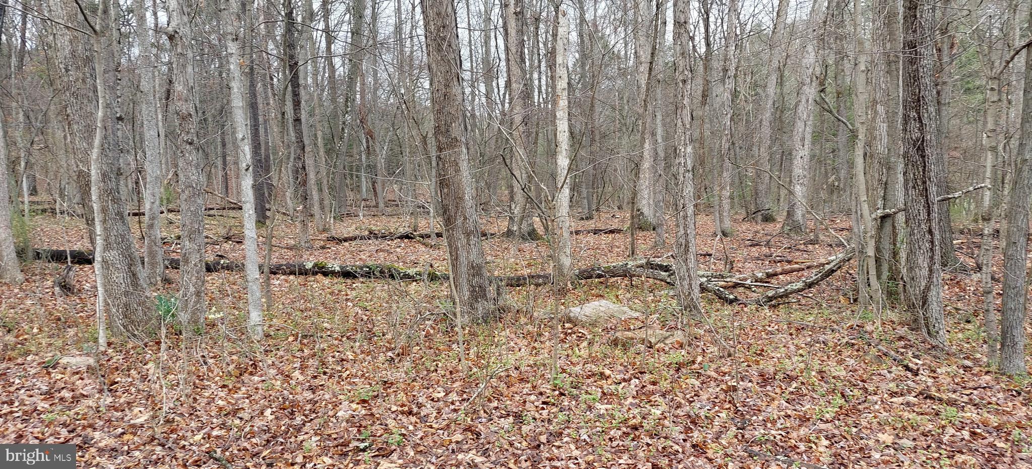 Shadoe Hollow Rd Ne Shadoe Hollow Road Cumberland, MD 21502 - Photo 2 of 11