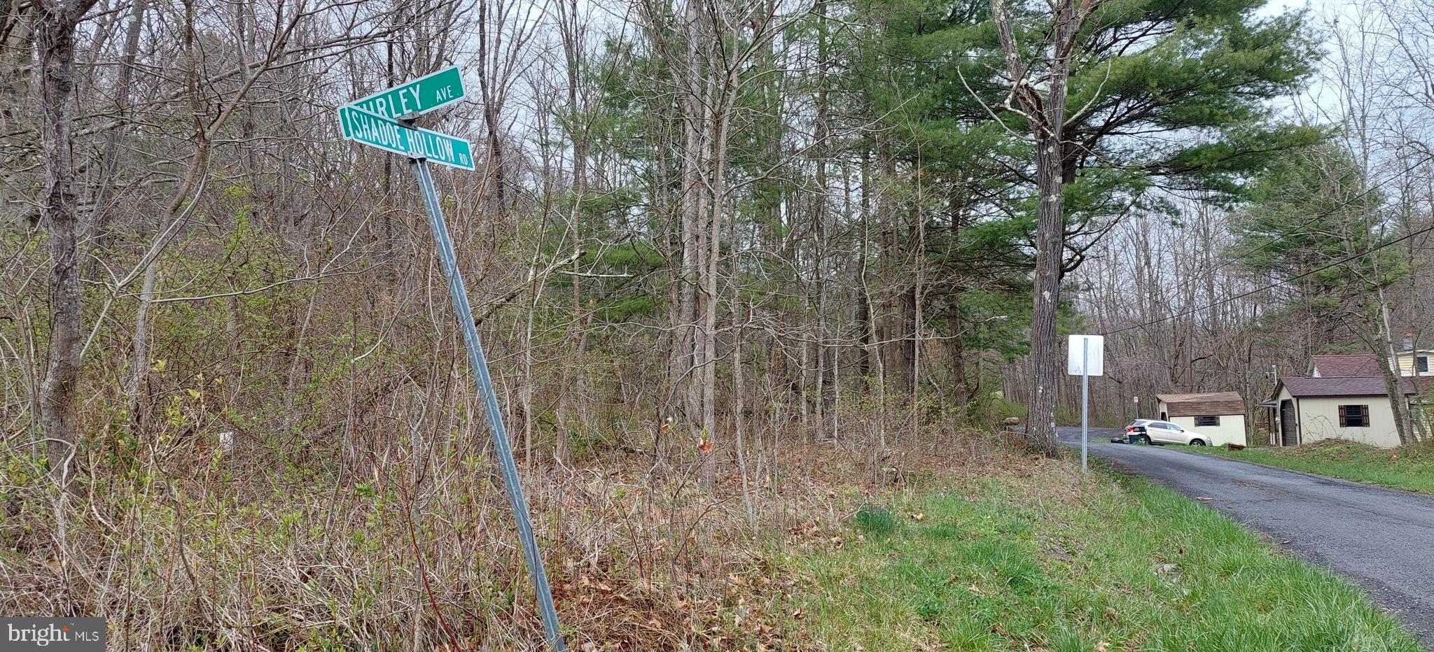 Shadoe Hollow Rd Ne Shadoe Hollow Road Cumberland, MD 21502 - Photo 3 of 11