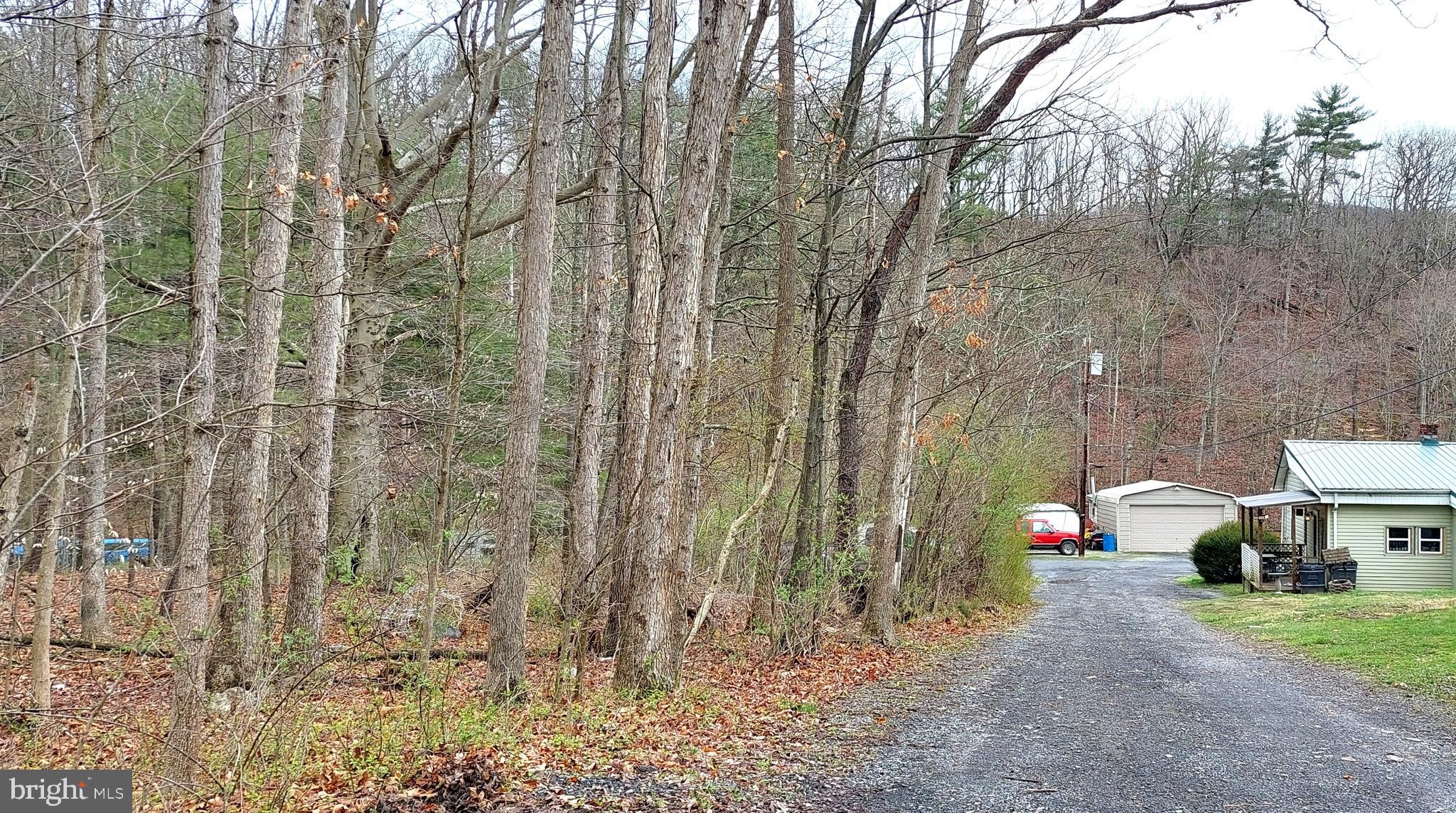 Shadoe Hollow Rd Ne Shadoe Hollow Road Cumberland, MD 21502 - Photo 4 of 11